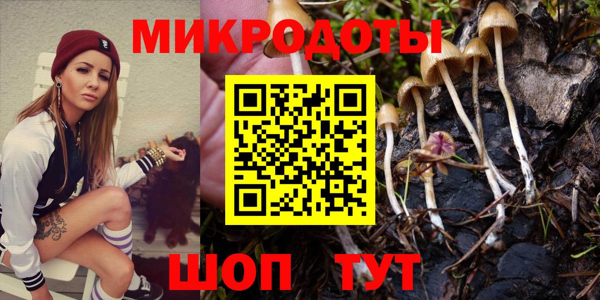 Галлюциногенные грибы Magic Shrooms Ступино